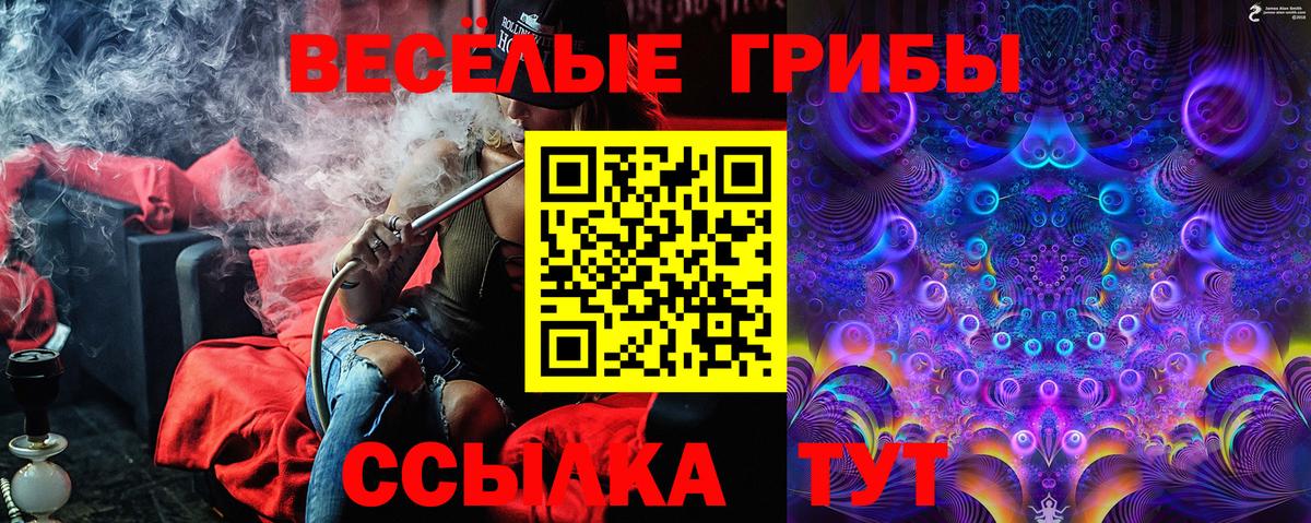 Псилоцибиновые грибы Psilocybe  Галлюциногенные грибы Psilocybine cubensis  Россошь  Вход с VPN 